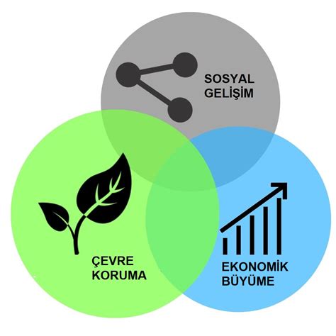 Bilgi ve Çevre: Bilgiye Dayalı Sürdürülebilirlik ve Çevresel Koruma Stratejileri