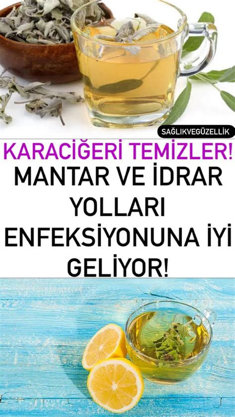 Sağlık ve İyi Yaşam: Doğal Tedaviler ve Sağlıklı Yaşam Önerileri