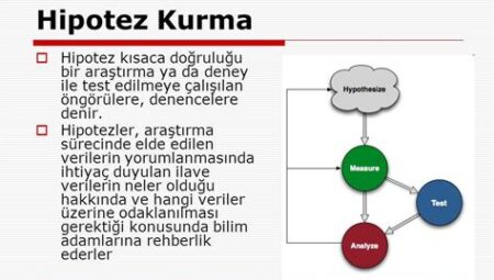 Bilgi Üzerine: Araştırma ve Hipotez Perspektifi