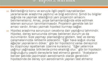 Bilgi Üzerine: Keşif ve Hipotez Perspektifi