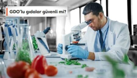 Teknoloji Üzerine: Biyoteknoloji ve Mobil Uygulama Perspektifi